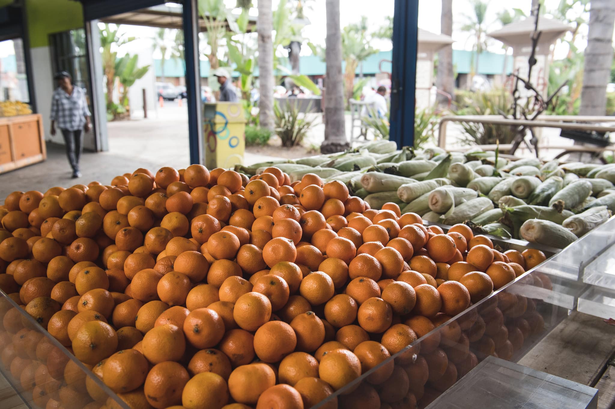 Oranges in corn on display